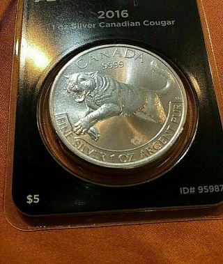 Silver 2016 Direct Bu $5 Cougar 1 Troy Oz.  9999 Fine - First Predator Series