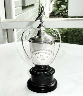 1928 Bradninch District Pigeon Flying Club Silver Trophy Urn Vase Loving Cup,  7.  5