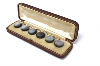 A Set Of Nicely Boxed 6 Antique Edwardian Mother Of Pearl Dress Studs Buttons