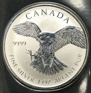 2016 Canada 1 Oz Silver $5 Peregrine Falcon Reverse Proof Birds Of Prey 99.  99