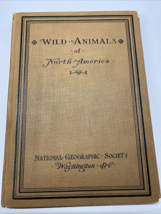 Antique 1918 Wild Animals Of North America Book National Geographic Society