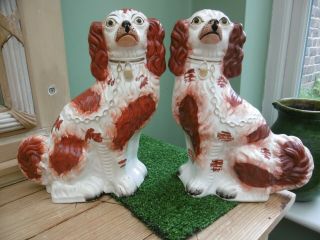 Antique Pr 19thc Staffordshire Red & White Spaniels In Sitting Pose No.  1 C.  1860
