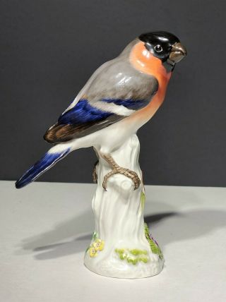Antique Meissen Porcelain Bird Figurine Bullfinch On Branch