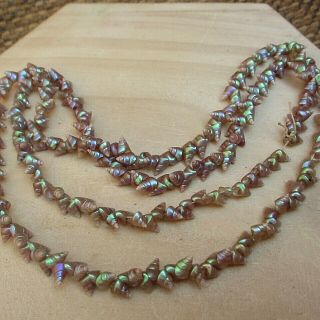 Antique Aboriginal Tasmanian Maireener Shell Iridescent Beads