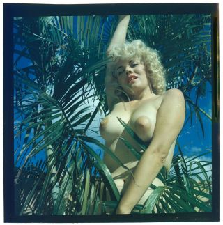 Maria Stinger 1950s Nude Model Bunny Yeager Archive 2 1/4 Camera Transparency