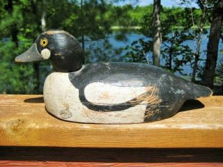 Antique / Vintage Duck Decoy Goldeneye Drake Folk Art Primitive Glass Eyes