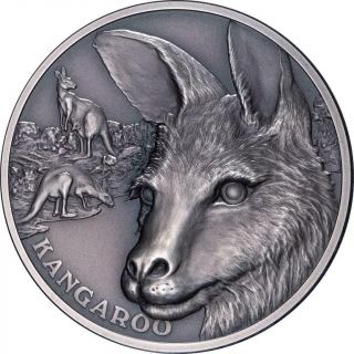 2021 Niue Up Close Kangaroo 1 Oz.  999 Silver Antique Finish Coin Mintage 750