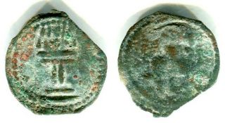 Central Asia Sogd Bukhara,  Ae Coin,  " Camel " Type.  14