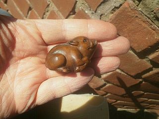 Hand Carved Wood Netsuke Wild Boar Pig Lays & Looks Upwards Collectable Figure
