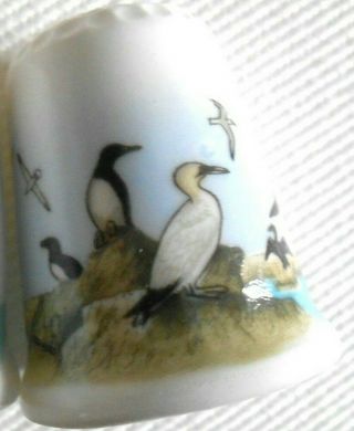Poole Pottery England Vintage Bone China Thimble Birds Gulls Seabirds Vgc
