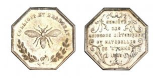 O306,  France,  1847 Silver Medal,  Society Of Historical Sciences Of Yonne,  Bee