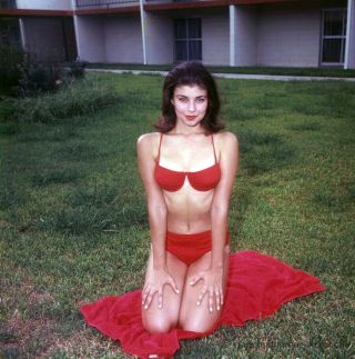 Bunny Yeager 1966 Color Camera Transparency Girls Of Texas Janet Martin Bikini
