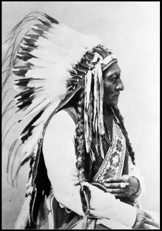 1885 - Sitting Bull Portrait,  Antique Photo,  Native American,  Lakota,  24 " X16 "