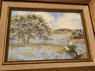 Vintage Framed Oil Texas Bluebonnet/live Oak Landscape - Signed Ruth B Nunn