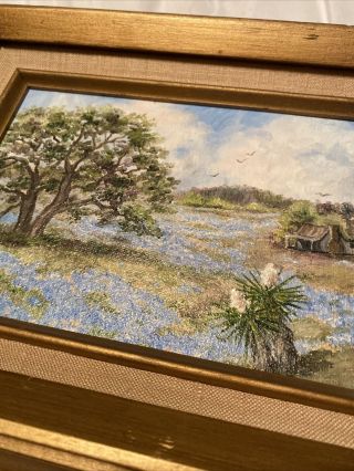 vintage framed oil Texas bluebonnet/live Oak landscape - signed Ruth B Nunn 3