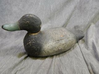 Antique Carved Wood Bluebill Decoy With Glass Eyes 18