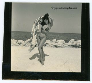 Bunny Yeager Estate Bettie Page Photograph 1954 Pin - Up Rarity Iconic Nr
