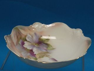 R.  S.  Prussia Antique Art Nouveau Lilly Bowl Exquisite