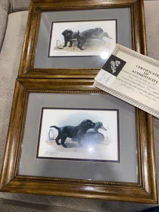 Vintage John Shaw Print Signed Numbered Black Lab Puppy Dog Duck Pair W/