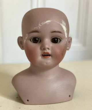 Antique Bisque Simon & Halbig Doll Head In Need Of Repair 1080 German Face Cute