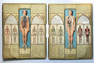 1935 Antique Bodyscope Ralph H Segal Unusual Anatomy Chart Oddity Medical Book