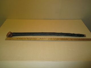 Vintage Blackthorn Irish Shillelagh Walking Stick Cane 37.  5 .  1