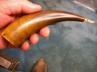 Antique Vintage Black Powder 6 " Horn