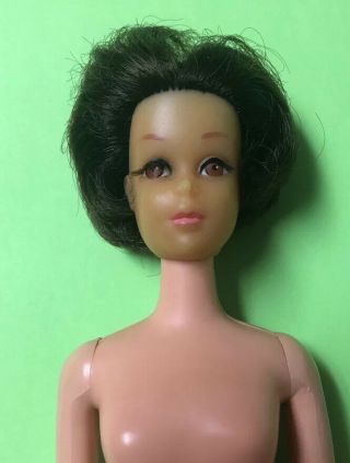 Vintage Brunette No Bangs Francie Hair Cut Needs Tlc Mattel Barbie