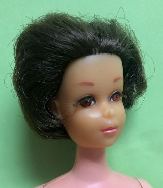 Vintage Brunette No Bangs Francie HAIR CUT needs TLC Mattel Barbie 2