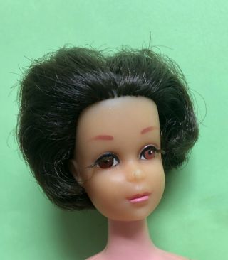Vintage Brunette No Bangs Francie HAIR CUT needs TLC Mattel Barbie 3