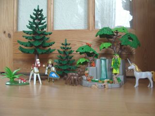 Playmobil 100 Complete Set 3896 Magical Fairy 