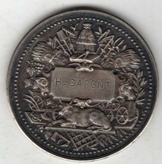 1893 French Silver Award Medal For The Agriculture Society Of France