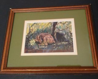 Vintage Samuel S.  Thorpe Watercolor Fawn Resting Framed