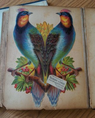 Antique Scrapbook Victorian Die - Cuts & Trade Cards Chromolithography