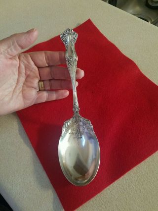 Vintage / Grape Berry Serving Spoon 9 " 1847 Rogers Bros Silverplate