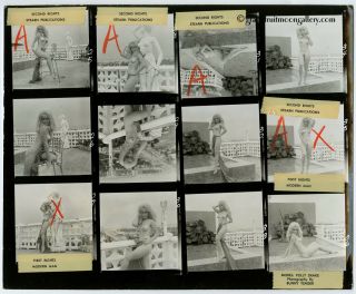 Vintage 1973 Bunny Yeager Contact Sheet 12 Frames Nude Polly Drake Rooftop Patio