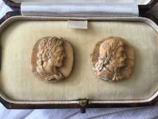 Antique ? Ancient? Lava Cameo Cameos Carved With Roman Emperor Heads