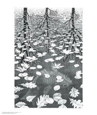 M.  C.  Escher Three Worlds Art Print Image: 15.  25x22.  25,  Paper: 21.  75x25.  5 In