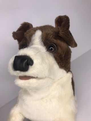 Folkmanis Jack Russel Terrier Brown Cream Full Body Puppet Puppy Dog Plush