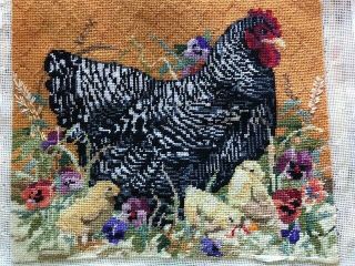 Hen & Chicks Vintage Wool Needlepoint,  Stitched Area 13.  75 " X 11.  5 ",  Unframed