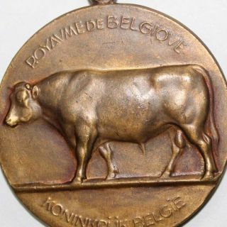 Old Bronze Agricultural Art Medal,  The Bull,  Cattle (575)