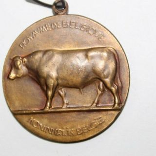 Old Bronze Agricultural Art Medal,  The Bull,  Cattle (575) 2