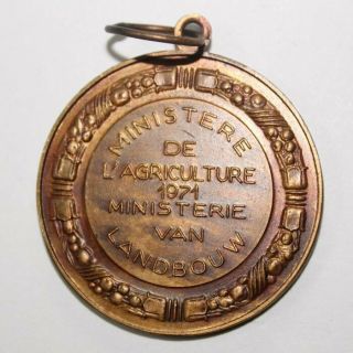 Old Bronze Agricultural Art Medal,  The Bull,  Cattle (575) 3