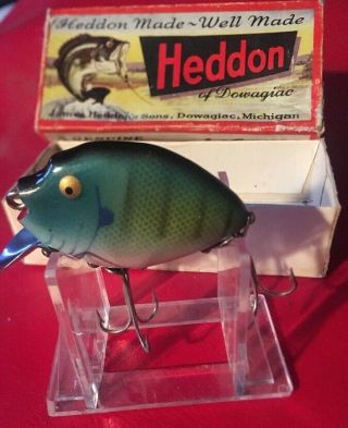 Heddon 9630 Bgl Punkinseed And Box Vintage Plastic Fishing Lure Dowagiac Spook