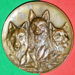 France / Three Dogs / Vintage French Bronze Medal By Huguenin