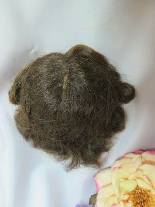 Antique Vintage Human Hair Doll Wig Brunette Center Part9 - 10 " Cir