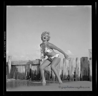 Bunny Yeager 1950s Pin - up Camera Negative Marilyn Look - A - Like Carol Blake Fun NR 2