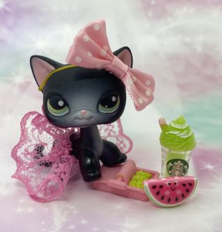 Authentic Littlest Pet Shop 336 Black Short Hair Cat Green Eyes With Outfit