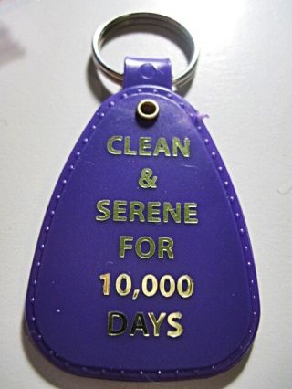 Narcotics Anonymous 10,  000 Days N.  A.  Purple Key Tag Key Tag Anniversary