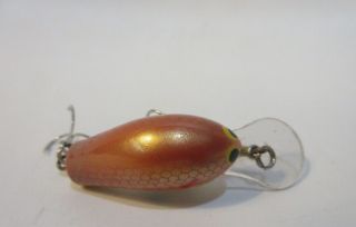 Vintage Bagley Honey B Nellie ' s Goldfish TOUGH COLOR 3